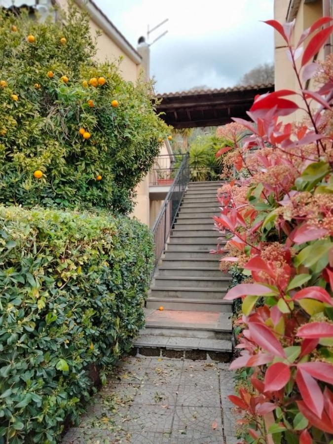 Sguardo Sul Lago Trevignano Romano Buitenkant foto