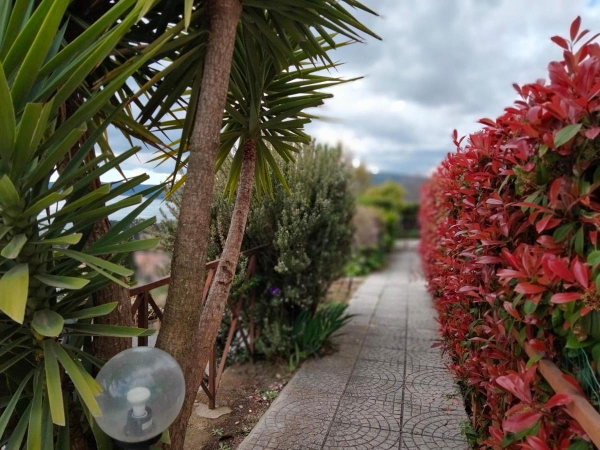 Sguardo Sul Lago Trevignano Romano Buitenkant foto